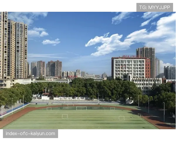 青训比赛裁判标准化与培训证书体系建设，田径裁判员培训方案